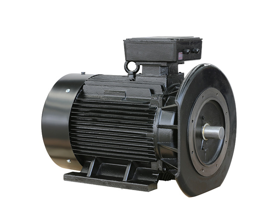 Variable Frequency Motor